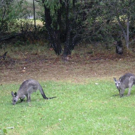 Wombatalla Kangaroo Valley Exterior foto